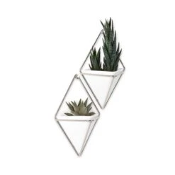 Umbra Trigg Wall Display - Small - White/Nickel - 2-Piece -Umbra 330007971 AlternateImage4 l