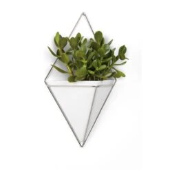Umbra Trigg Wall Display - Large - White/Nickel -Umbra 330007973 AlternateImage4 l
