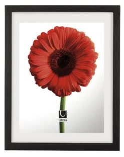 Umbra Document Frame 11 X 14" Black