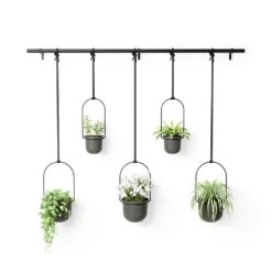Umbra Triflora Planter (Set Of 5)